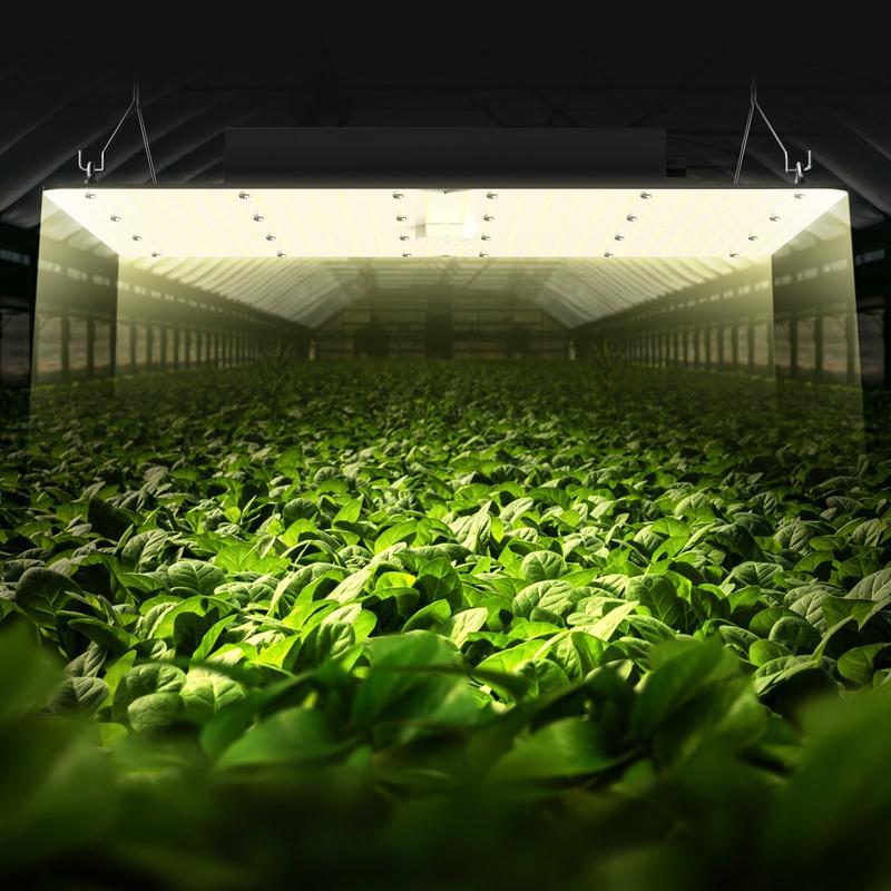 LED Grow Light, 400W Full Spec - Grow Tent 4X4 review and price