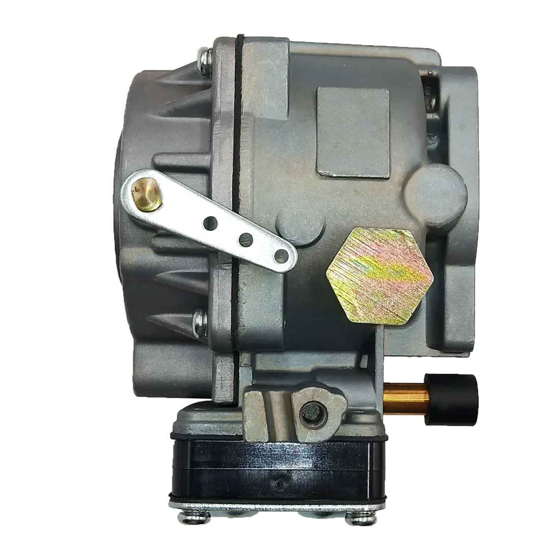 Carburetor Kit for Briggs & St - Urban Farming Kit review and price